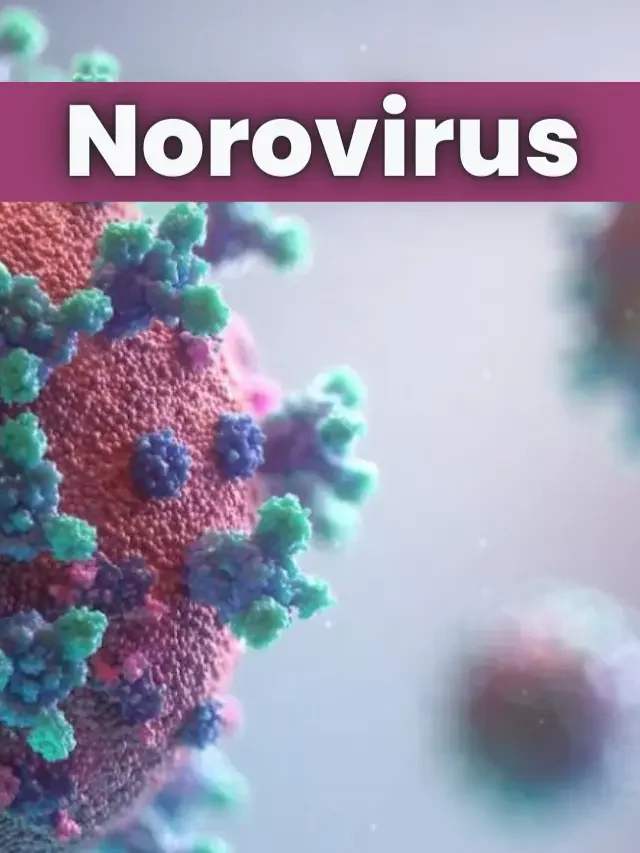 Norovirus Outbreaks: Symptoms, Prevention, and Treatment!