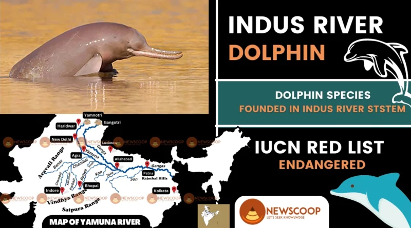 Indus River Dolphin UPSC IUCN Status