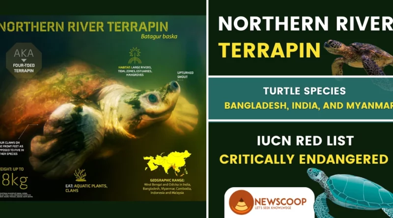 northern river terrapin UPSC turtle