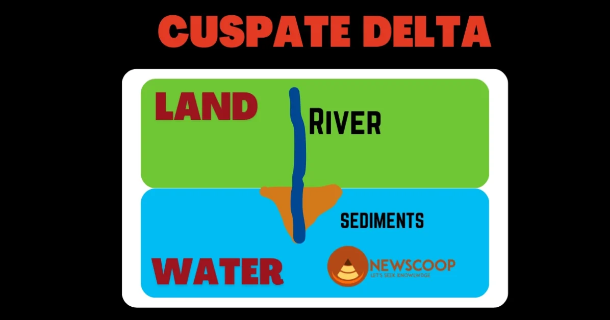 Cuspate Delta Image Diagram in India