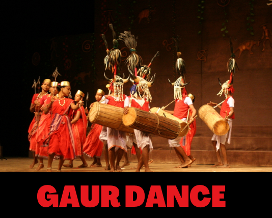 Gaur - folk dance of madhya pradesh