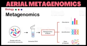 aerial metagenomics UPSC - Methods