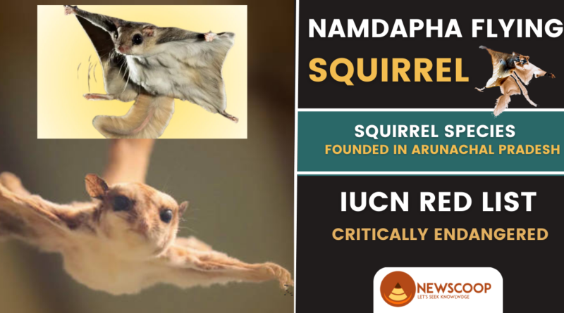 Namdapha Flying Squirrel IUCN Status & Facts (UPSC)